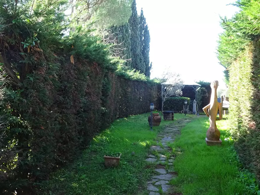 Immagine 3 di Rustico / casale in vendita  a Montespertoli
