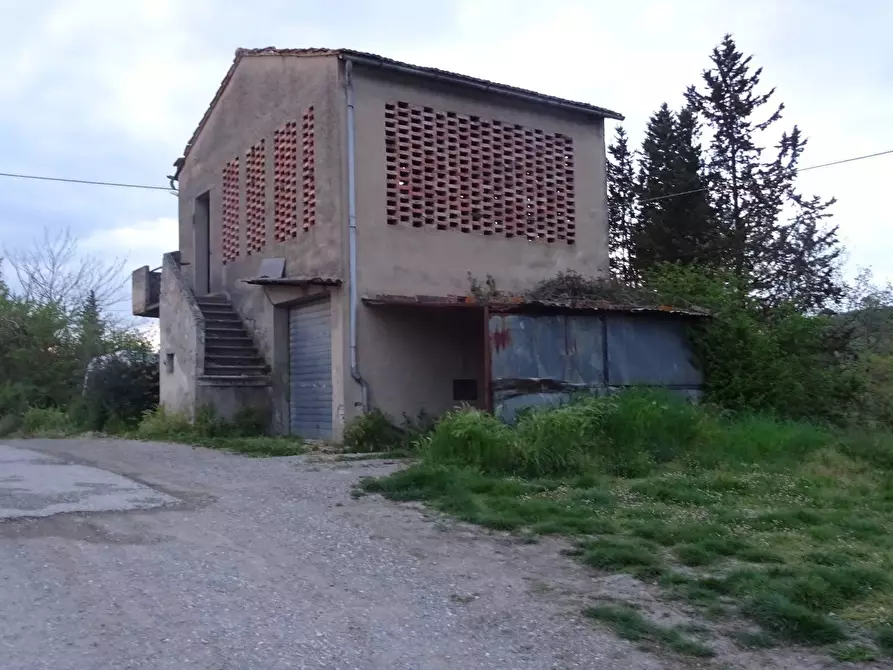 Immagine 3 di Rustico / casale in vendita  a Montespertoli