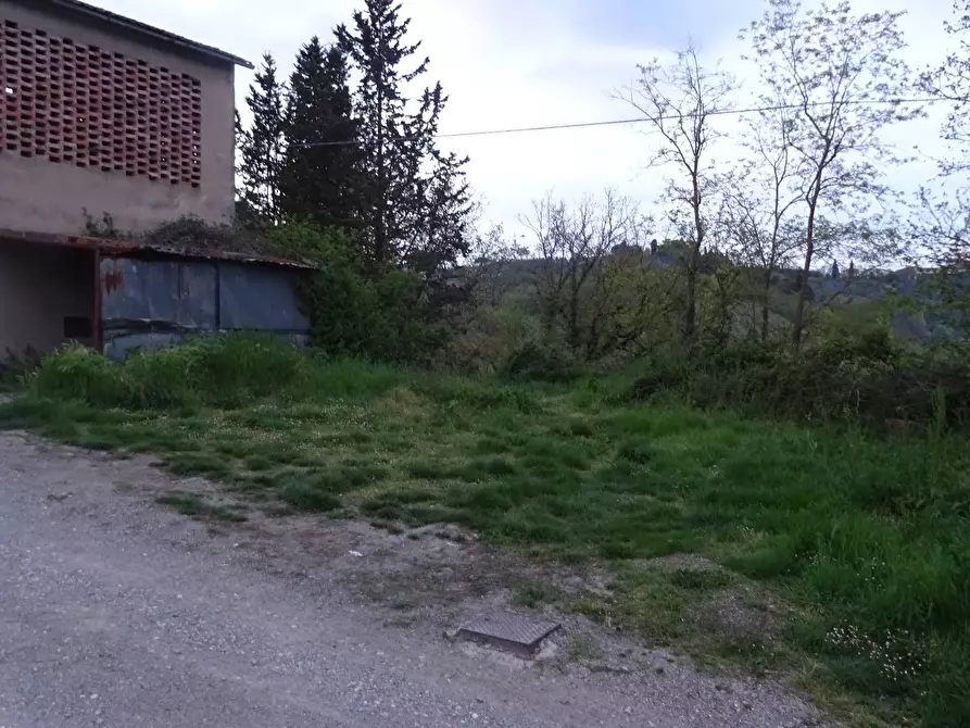 Immagine 4 di Rustico / casale in vendita  a Montespertoli