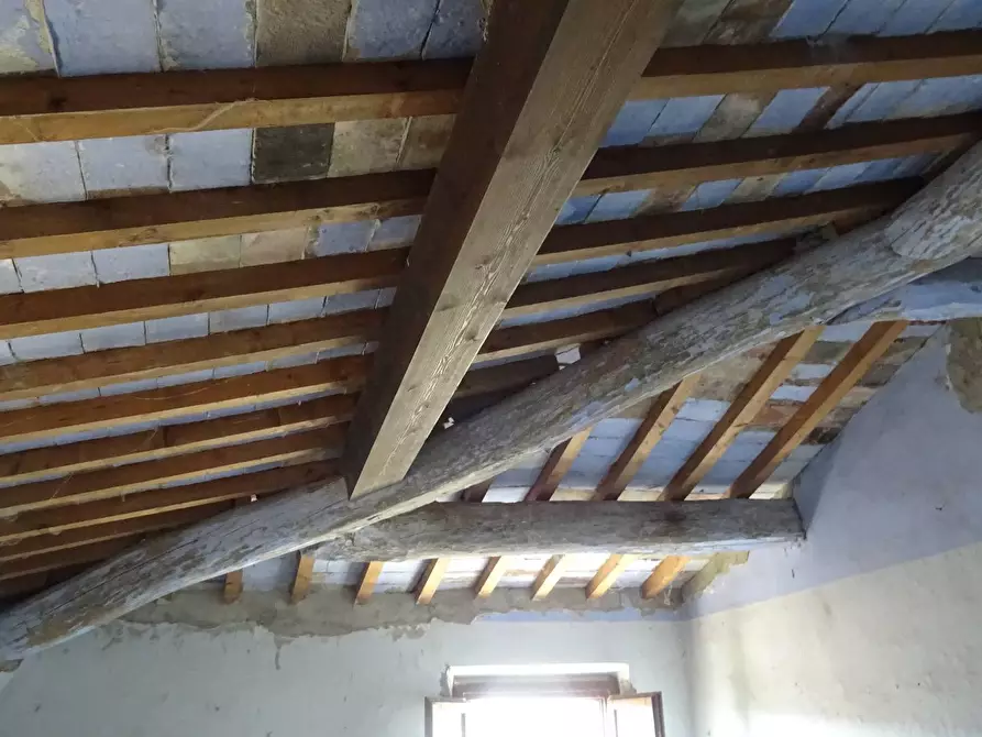 Immagine 6 di Rustico / casale in vendita  a Capraia E Limite