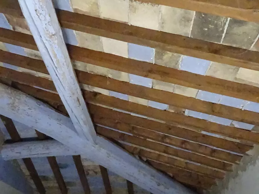 Immagine 7 di Rustico / casale in vendita  a Capraia E Limite