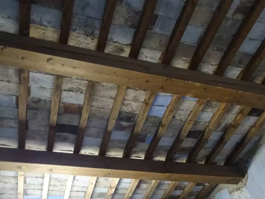 Immagine 9 di Rustico / casale in vendita  a Capraia E Limite