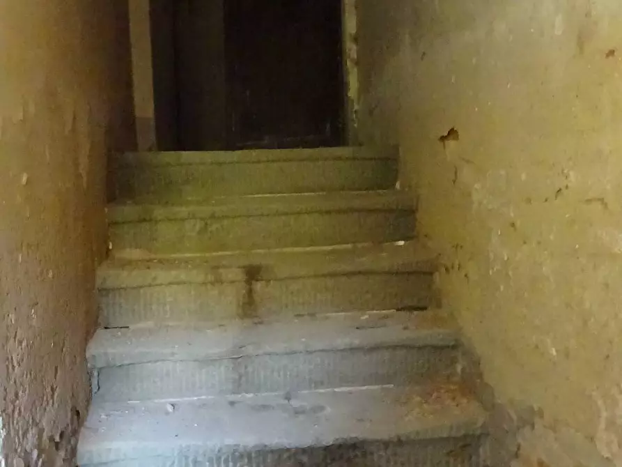 Immagine 16 di Rustico / casale in vendita  a Capraia E Limite