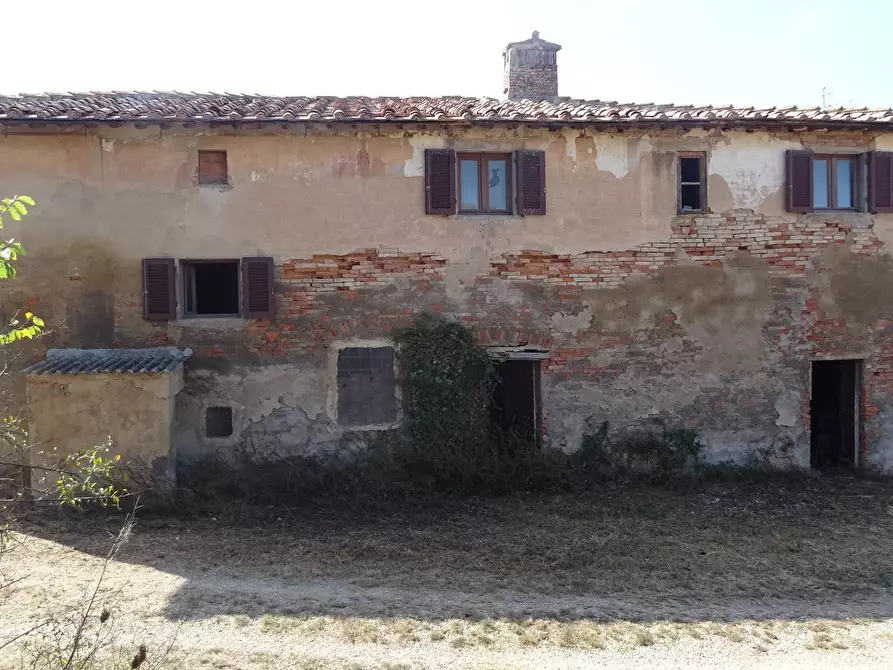 Immagine 18 di Rustico / casale in vendita  a Capraia E Limite