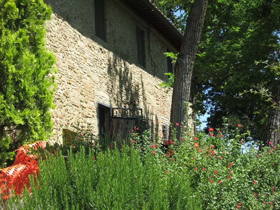 Immagine 2 di Rustico / casale in vendita  a Montespertoli