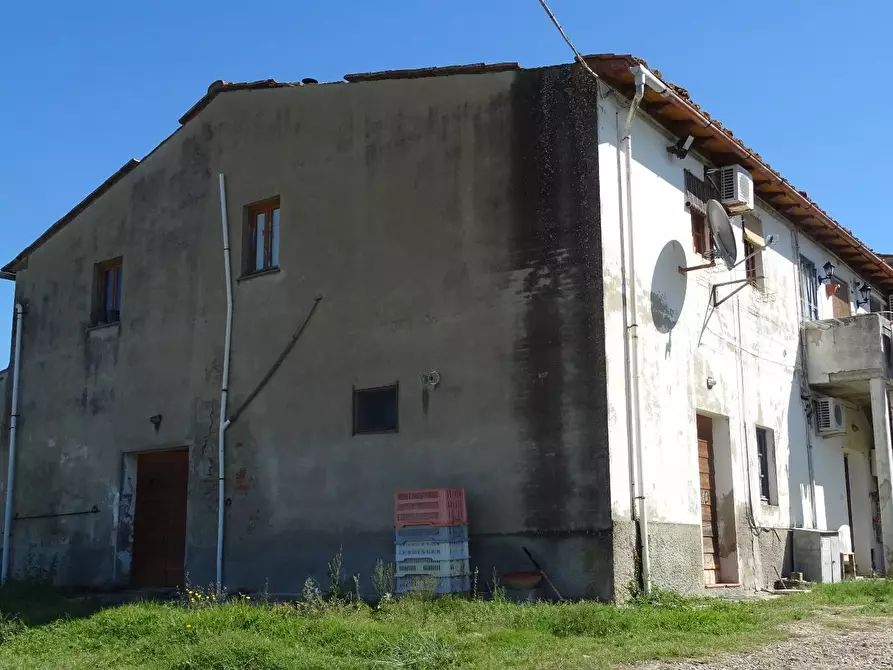 Immagine 4 di Azienda agricola in vendita  a Montespertoli