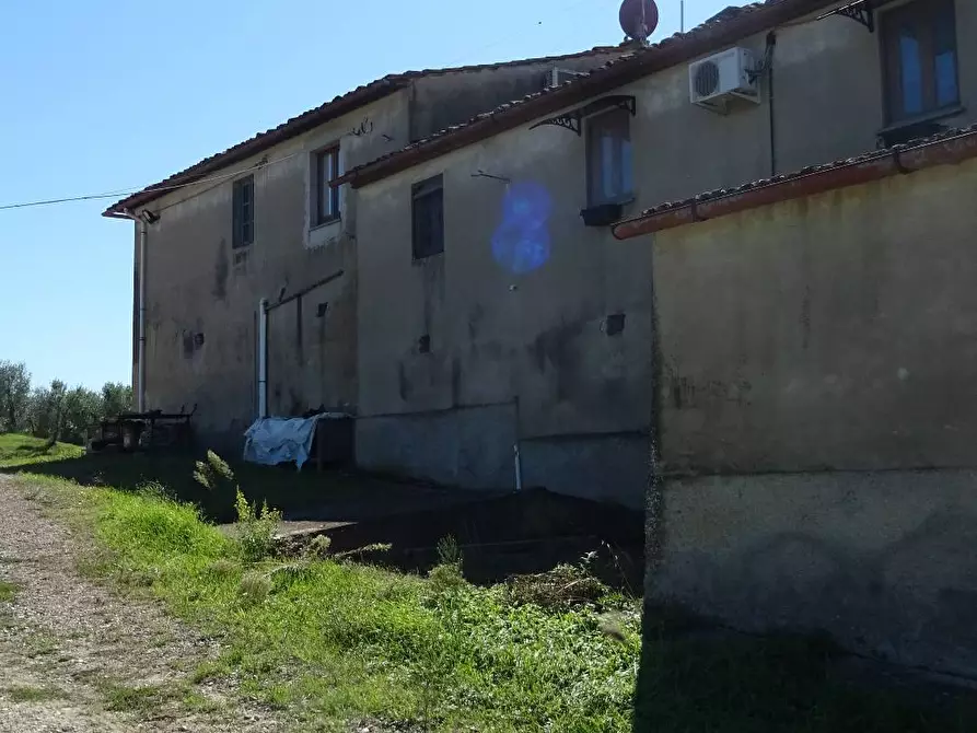 Immagine 8 di Azienda agricola in vendita  a Montespertoli