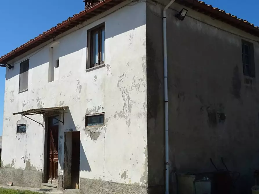 Immagine 12 di Azienda agricola in vendita  a Montespertoli