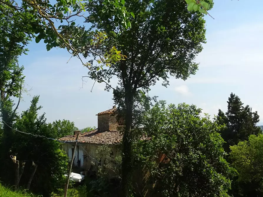 Immagine 34 di Rustico / casale in vendita  a San Casciano In Val Di Pesa