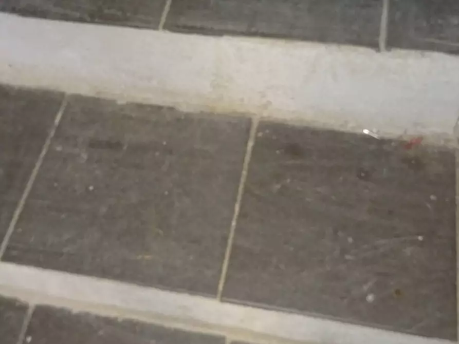 Immagine 2 di Magazzino in vendita  a Impruneta