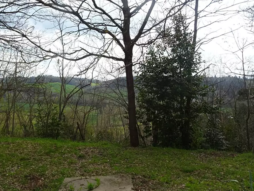 Immagine 7 di Villa in vendita  a Montespertoli