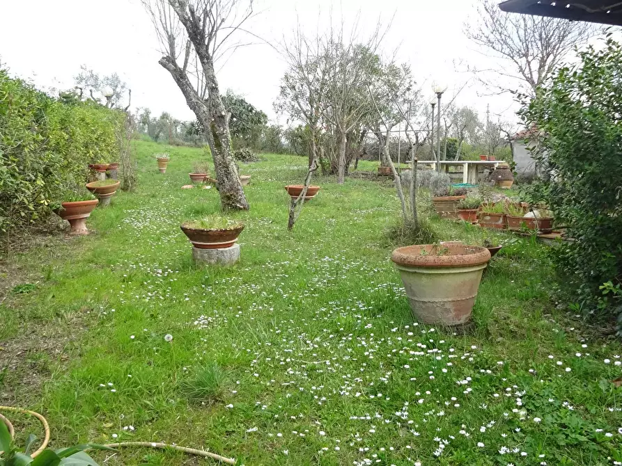 Immagine 8 di Villa in vendita  a Montespertoli