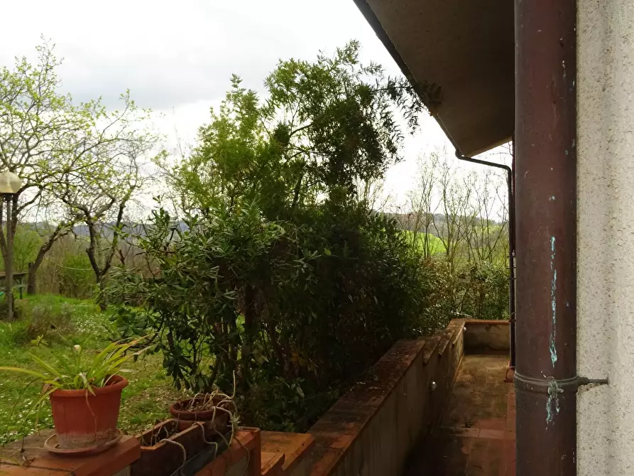 Immagine 9 di Villa in vendita  a Montespertoli