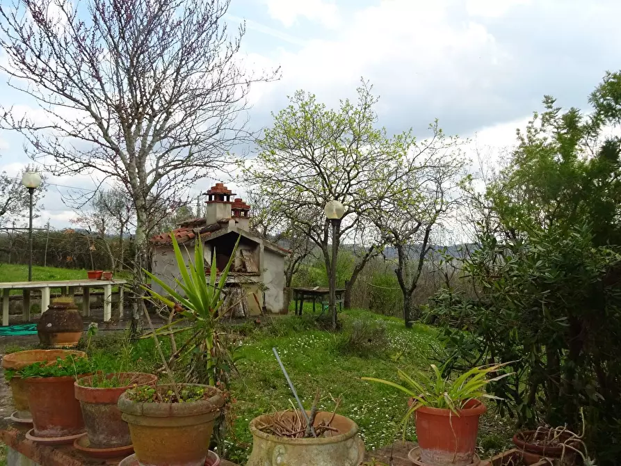 Immagine 10 di Villa in vendita  a Montespertoli