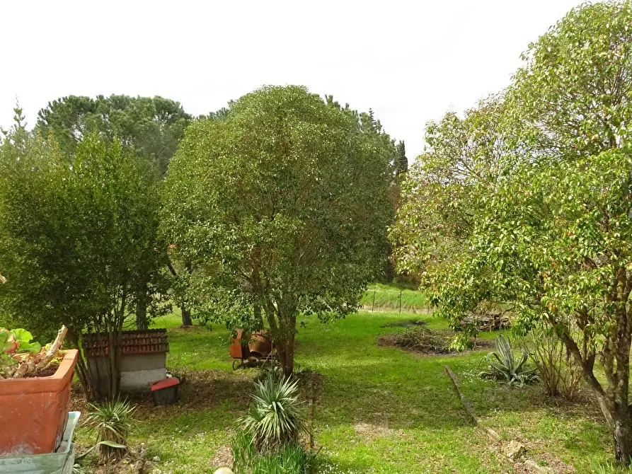 Immagine 13 di Villa in vendita  a Montespertoli