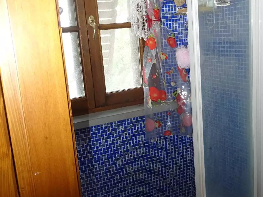 Immagine 11 di Rustico / casale in vendita  a Montespertoli