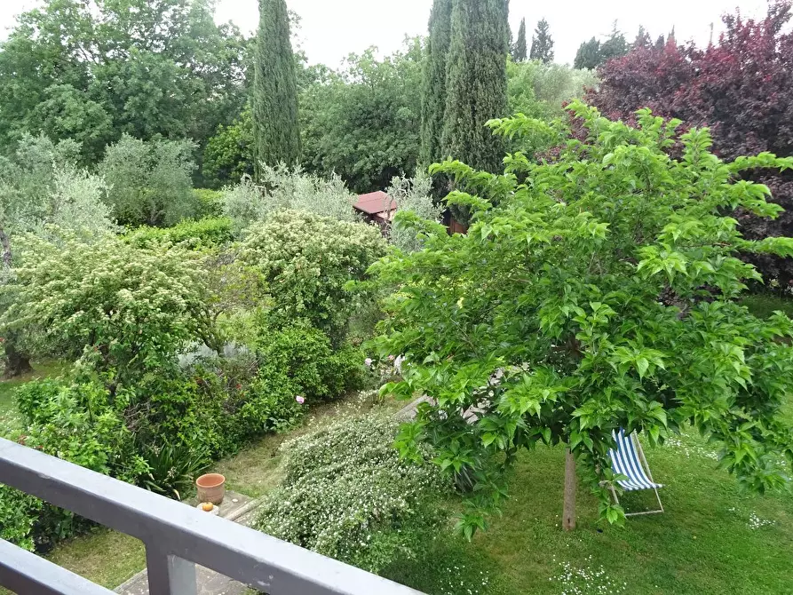 Immagine 3 di Rustico / casale in vendita  a Montespertoli