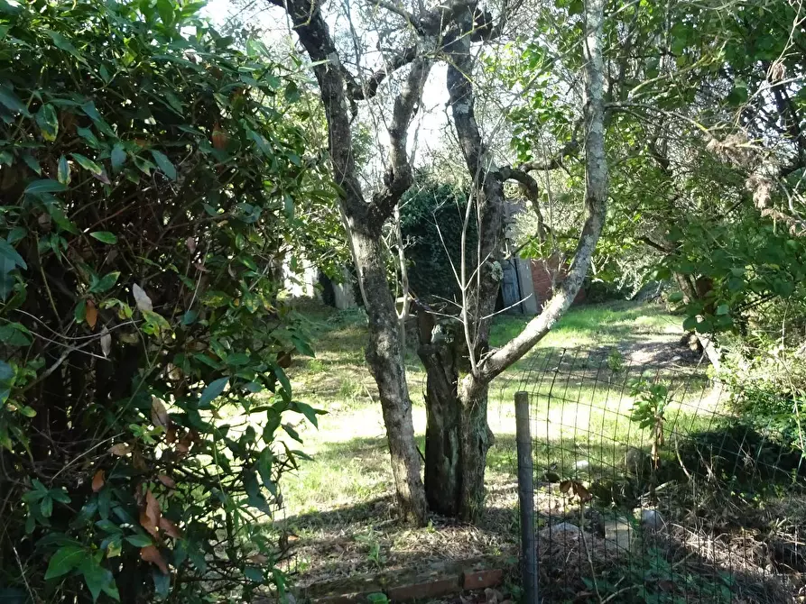 Immagine 29 di Villa in vendita  a Montespertoli