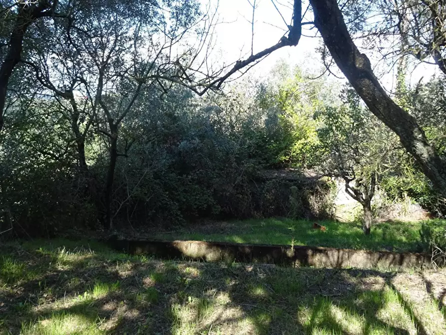 Immagine 31 di Villa in vendita  a Montespertoli