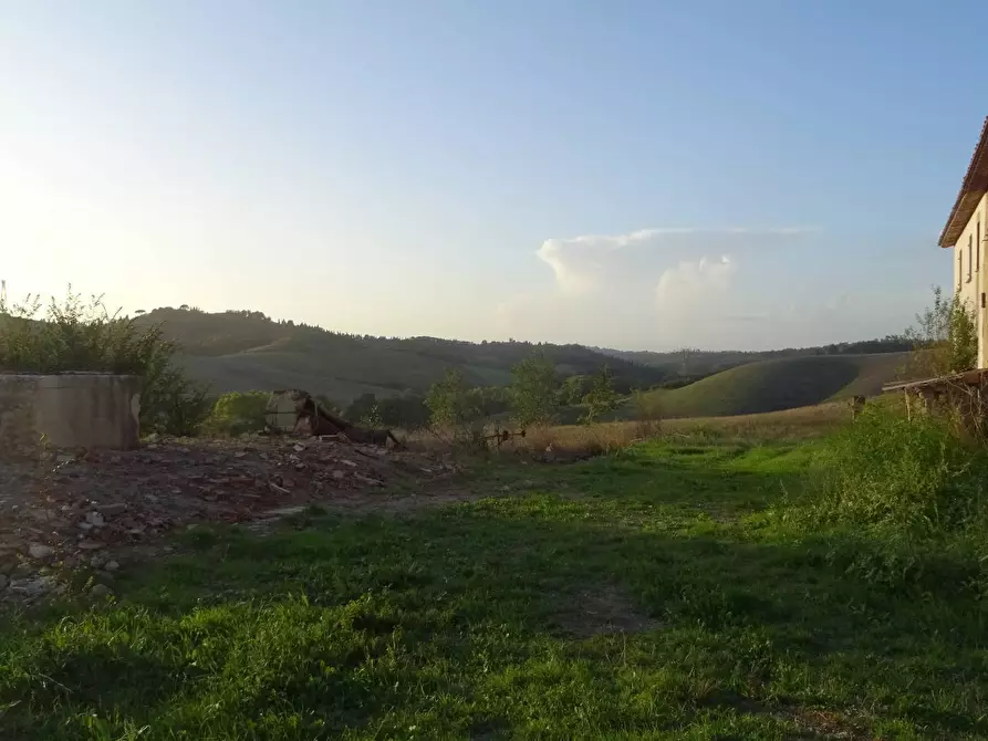 Immagine 4 di Rustico / casale in vendita  a Capraia E Limite