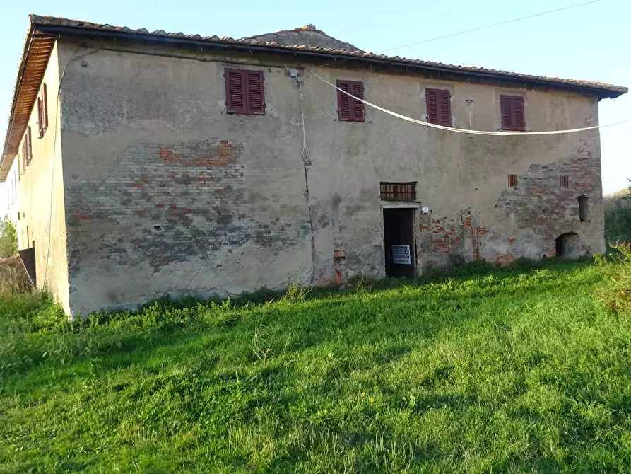 Immagine 3 di Rustico / casale in vendita  a Capraia E Limite