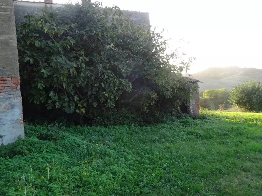Immagine 29 di Rustico / casale in vendita  a Capraia E Limite