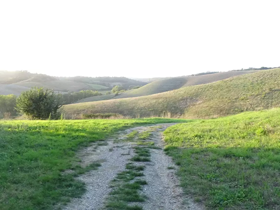 Immagine 30 di Rustico / casale in vendita  a Capraia E Limite