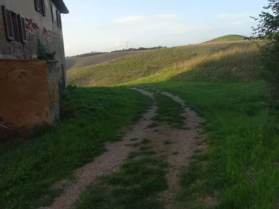 Immagine 31 di Rustico / casale in vendita  a Capraia E Limite