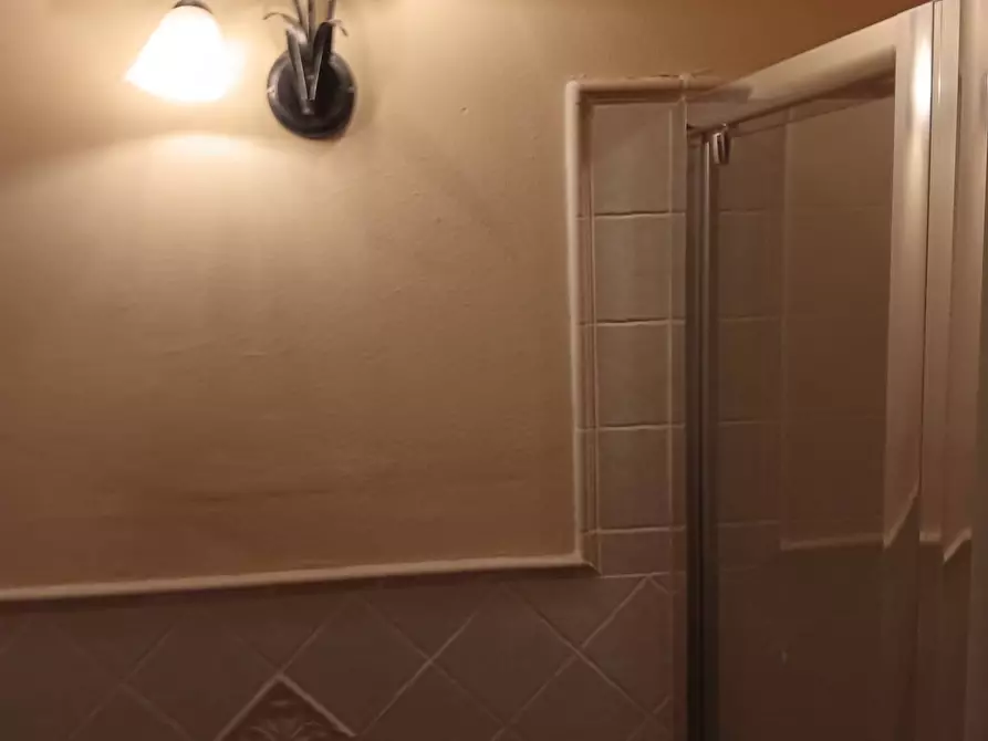 Immagine 20 di Rustico / casale in vendita  a Montespertoli