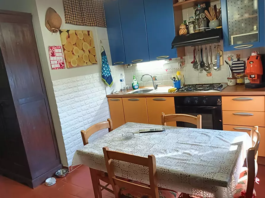 Immagine 13 di Azienda agricola in vendita  a Montespertoli