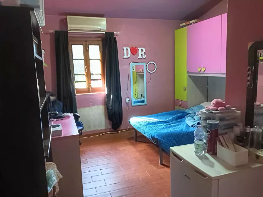 Immagine 23 di Azienda agricola in vendita  a Montespertoli