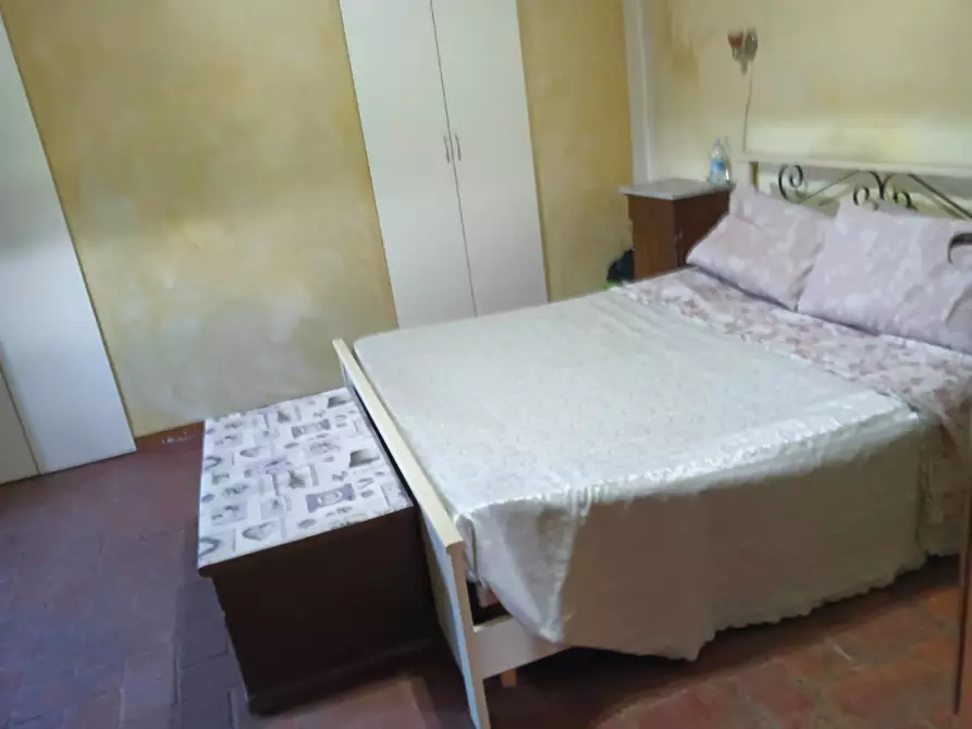 Immagine 24 di Azienda agricola in vendita  a Montespertoli