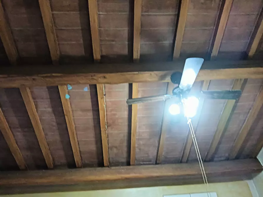 Immagine 25 di Azienda agricola in vendita  a Montespertoli