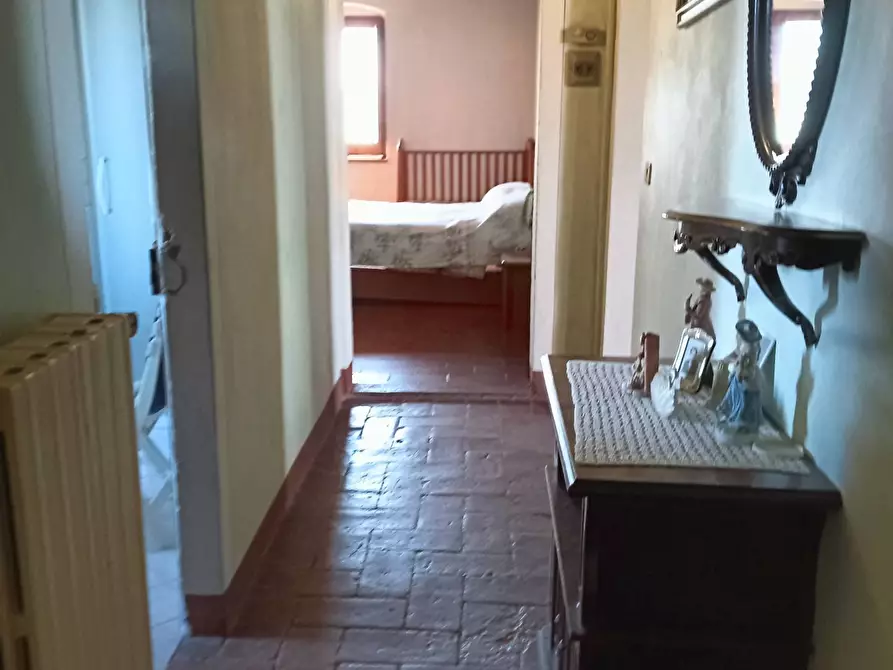 Immagine 36 di Azienda agricola in vendita  a Montespertoli