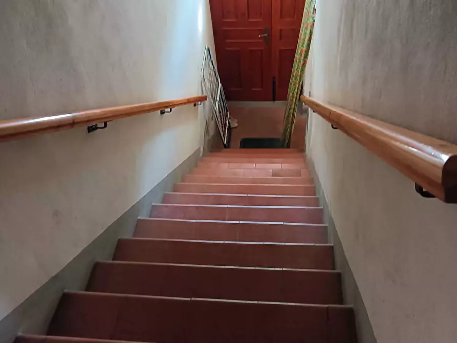 Immagine 38 di Azienda agricola in vendita  a Montespertoli