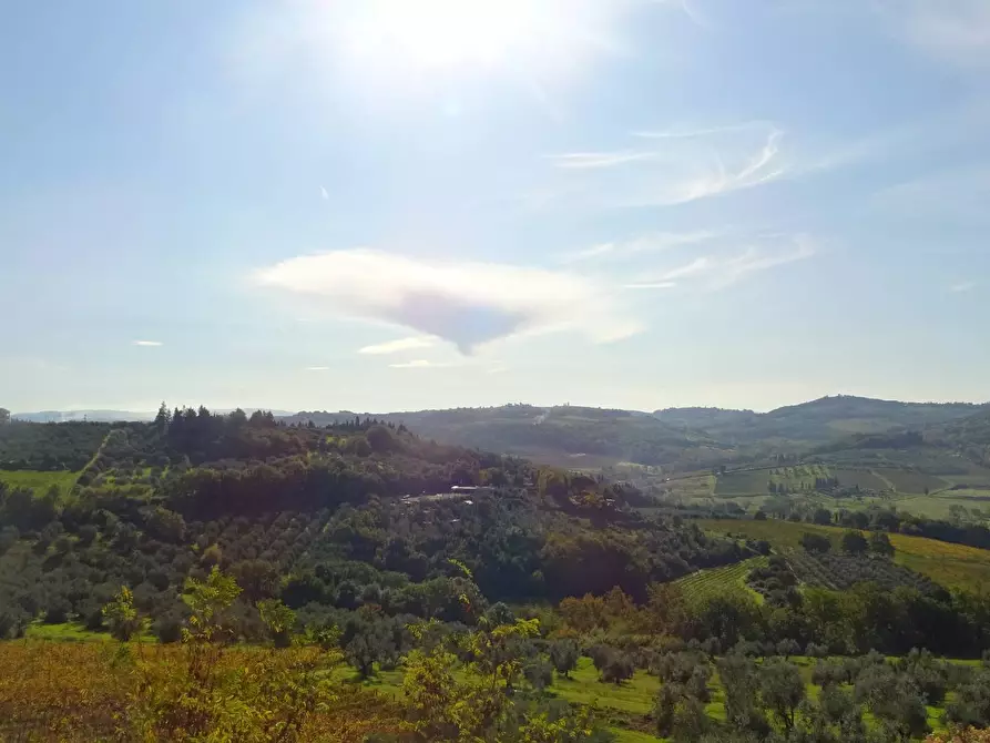 Immagine 10 di Appartamento in vendita  a Montespertoli