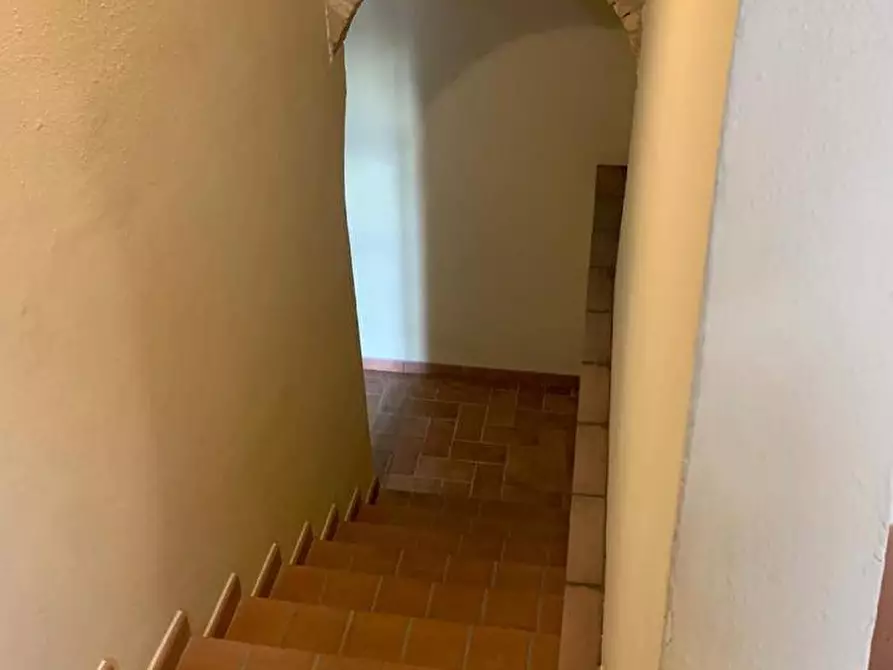 Immagine 4 di Rustico / casale in vendita  a Montespertoli