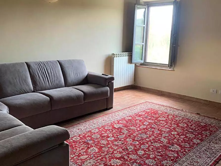 Immagine 15 di Rustico / casale in vendita  a Montespertoli