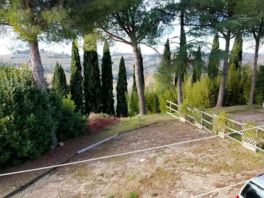 Immagine 15 di Rustico / casale in vendita  a Montespertoli