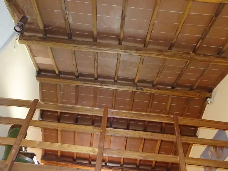 Immagine 14 di Villa in vendita  a Montespertoli