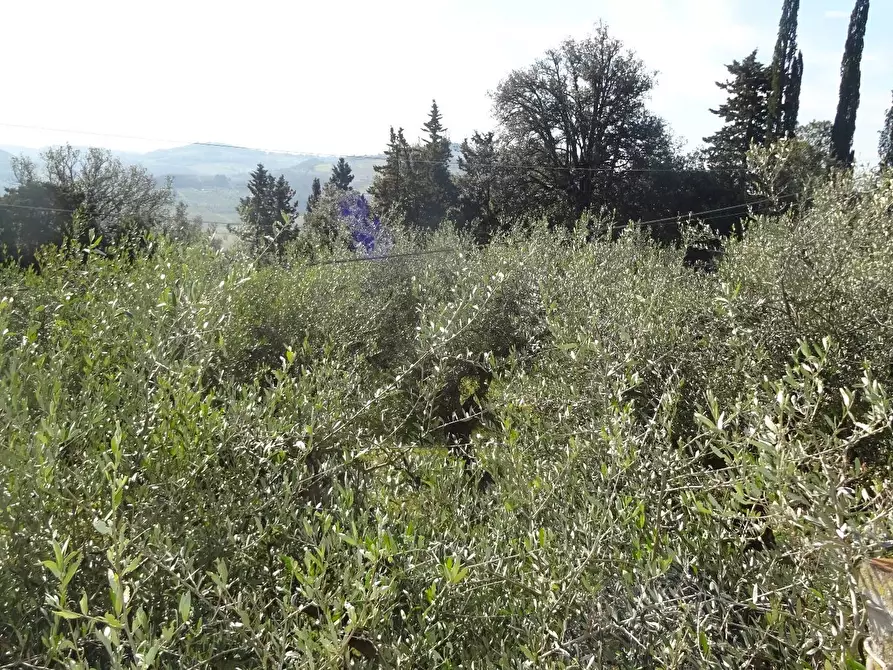 Immagine 44 di Villa in vendita  a Montespertoli