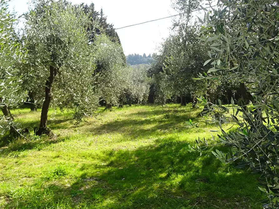 Immagine 45 di Villa in vendita  a Montespertoli