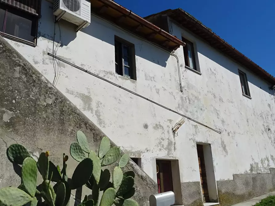 Immagine 1 di Azienda agricola in vendita  a Montespertoli