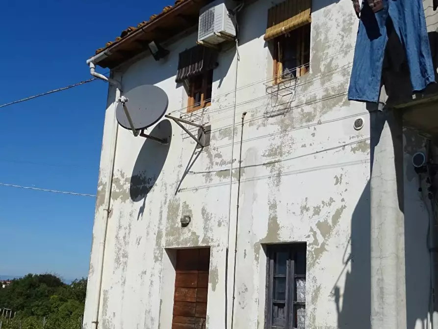 Immagine 3 di Azienda agricola in vendita  a Montespertoli
