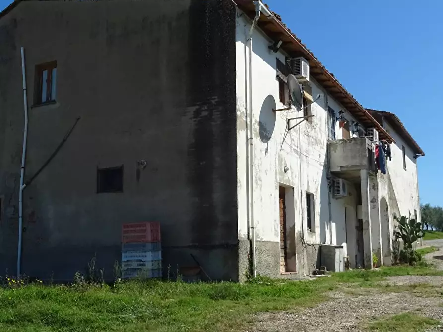Immagine 5 di Azienda agricola in vendita  a Montespertoli