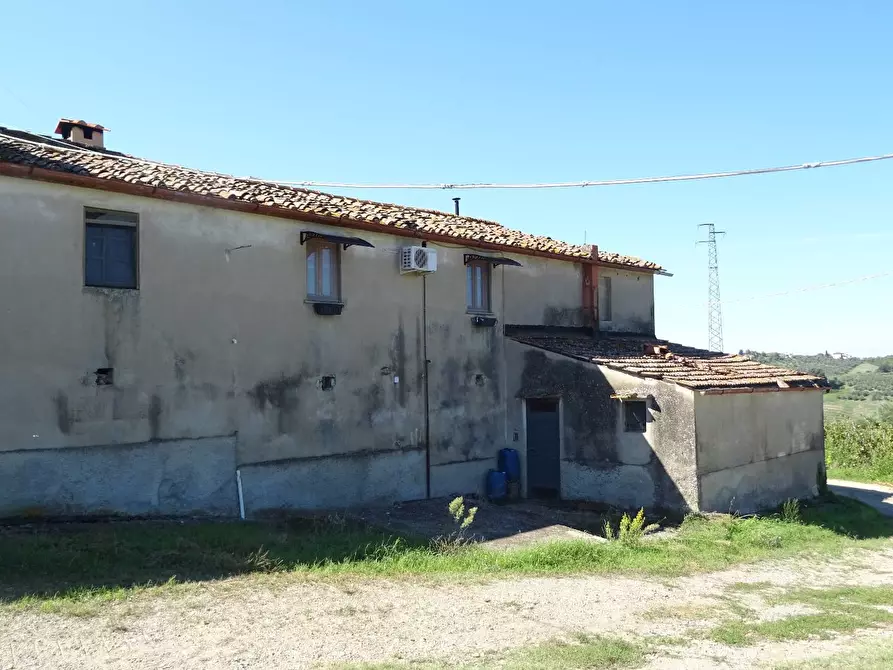 Immagine 10 di Azienda agricola in vendita  a Montespertoli