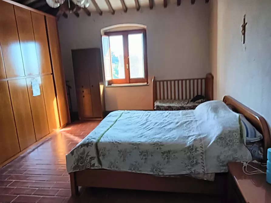 Immagine 30 di Azienda agricola in vendita  a Montespertoli