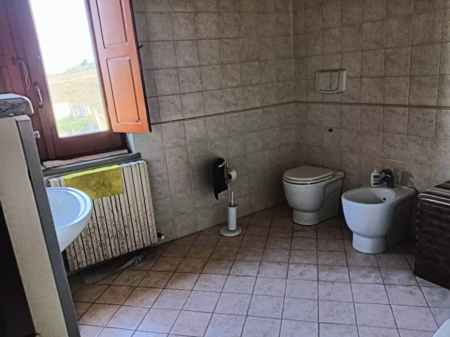 Immagine 31 di Azienda agricola in vendita  a Montespertoli