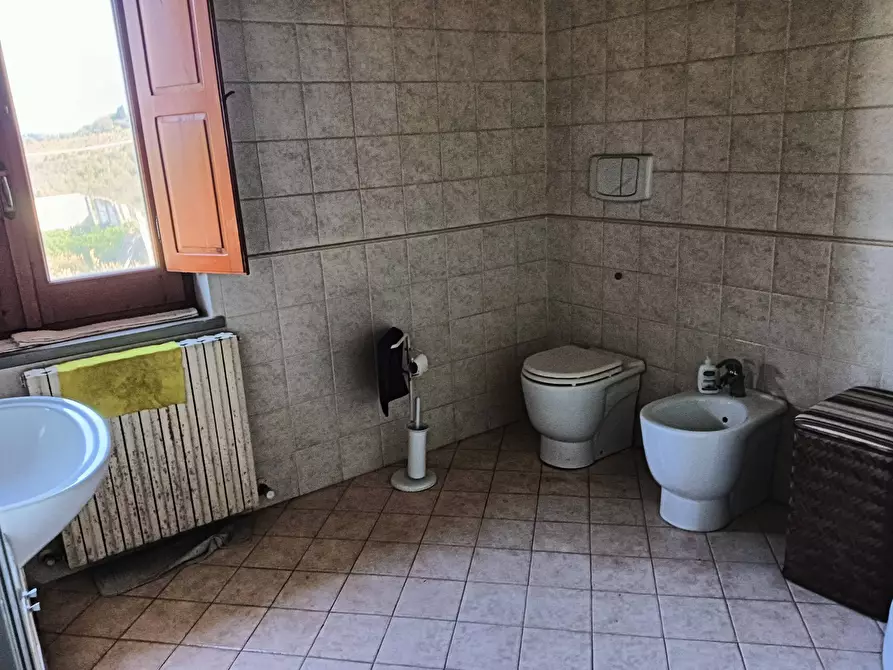 Immagine 33 di Azienda agricola in vendita  a Montespertoli