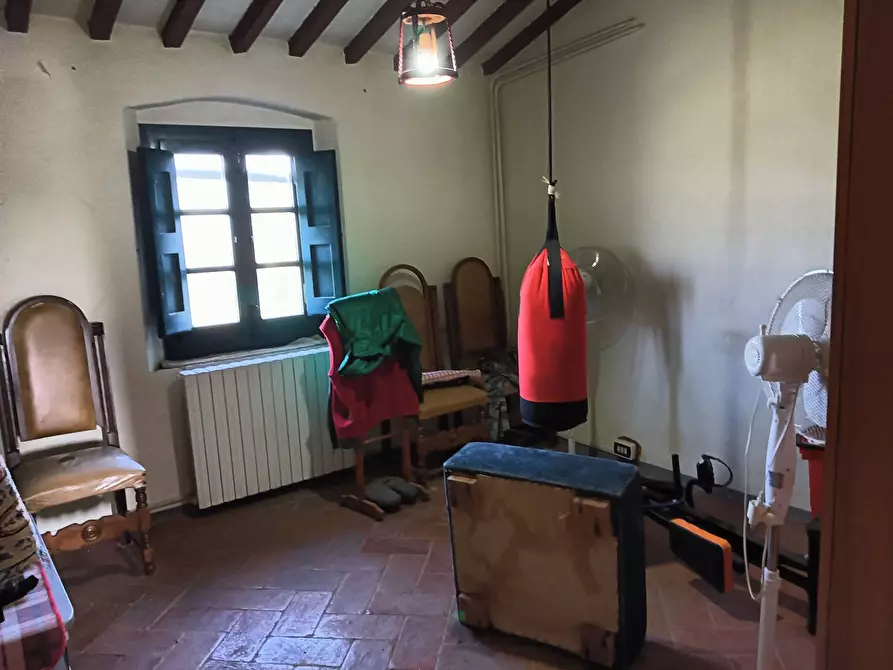 Immagine 35 di Azienda agricola in vendita  a Montespertoli
